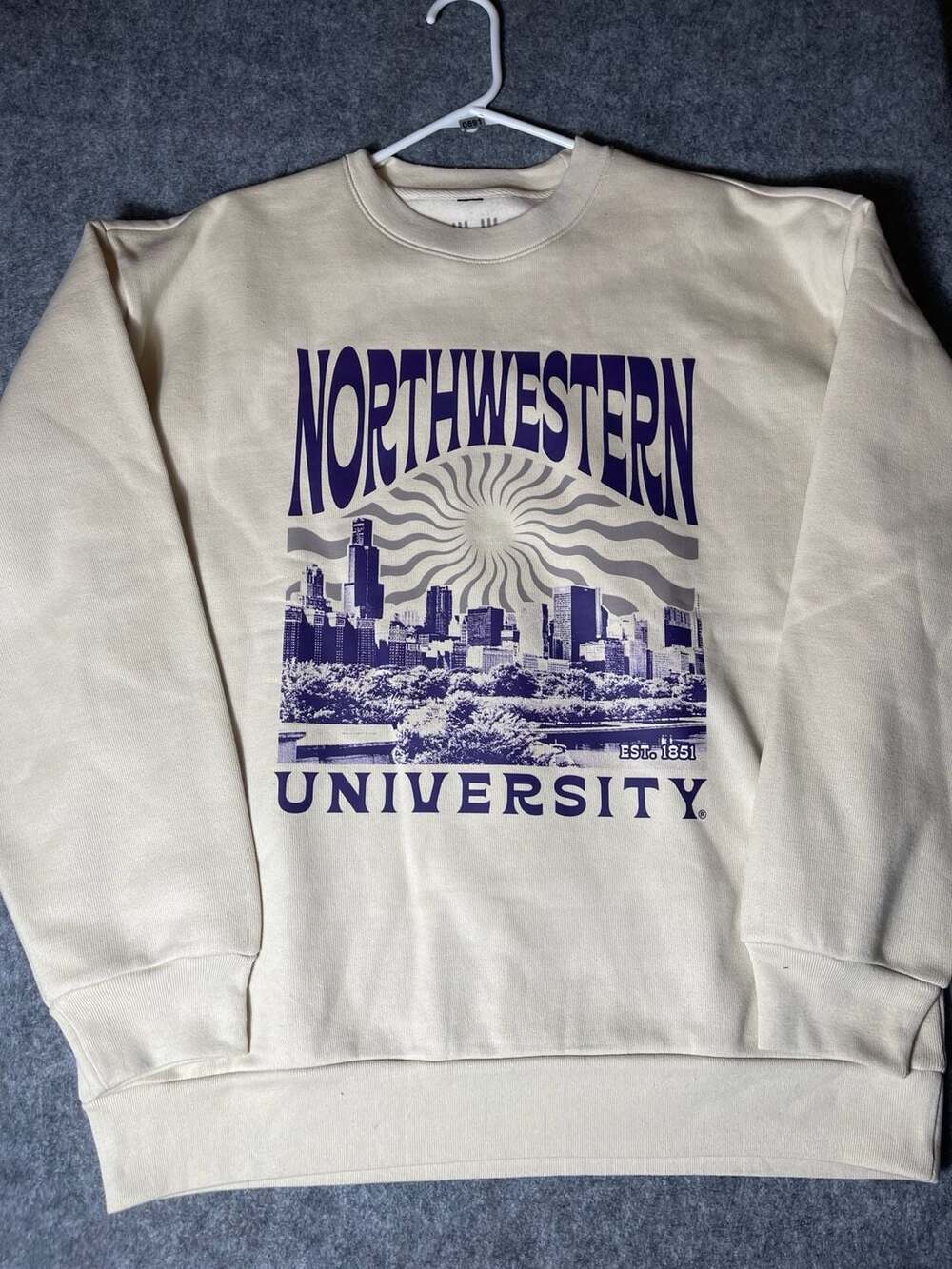 USCAPE Northwestern University Sunburst Heavyweight Crewneck Sweatshirt Bone